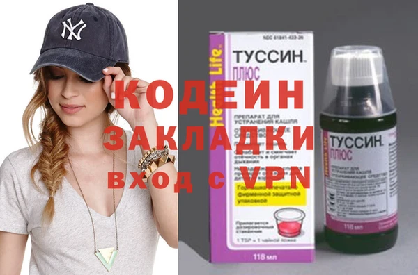 не бодяженный Заводоуковск