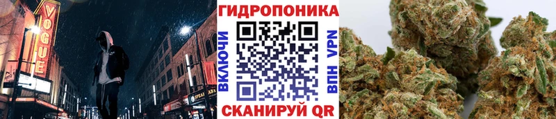 Купить закладки  Исилькуль  МАРИХУАНА семена 